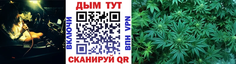 Где купить наркотики Горно-Алтайск Бошки Шишки Alpha-PVP ГАШ