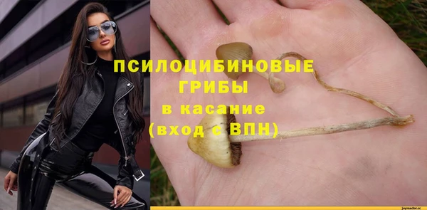 мяу мяу мука Горно-Алтайск