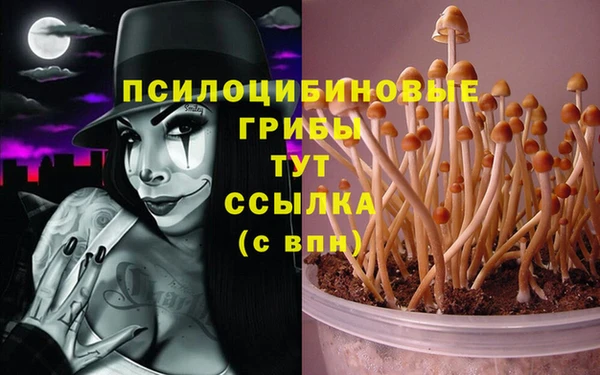 дурь Горнозаводск