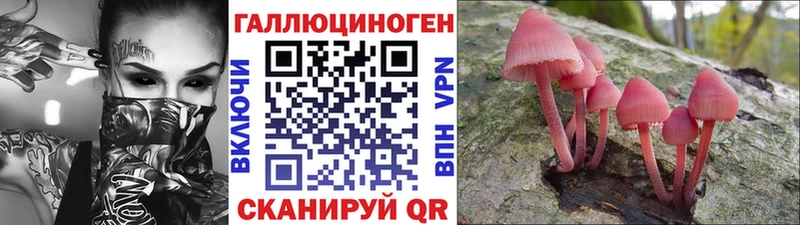 Галлюциногенные грибы мицелий  Горно-Алтайск 